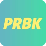 purebreak android application logo